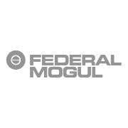 Federal Mogul