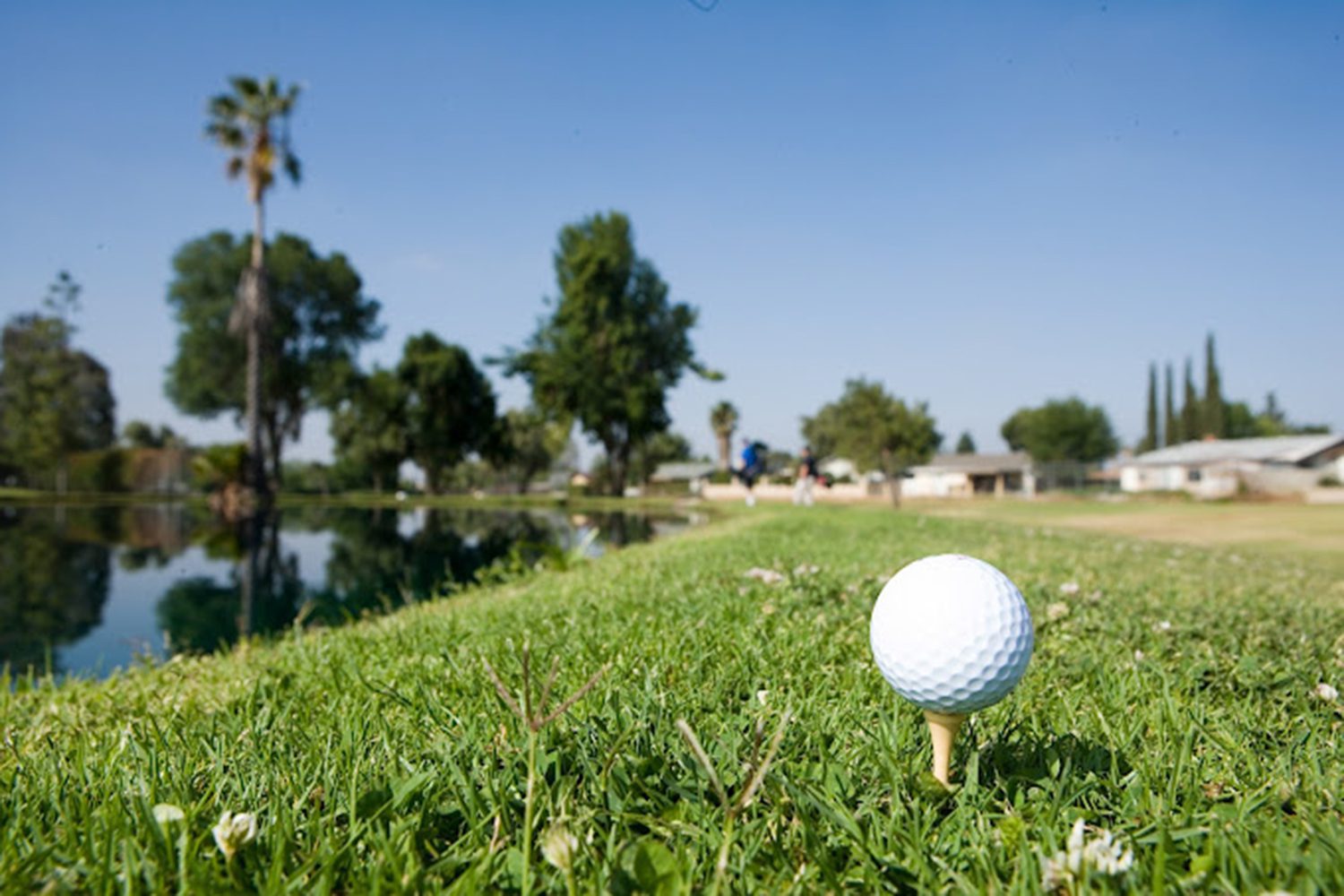 A close-up of a golf ball on a tee, with a grassy area, a pond, trees, and buildings in the background under a clear blue sky.