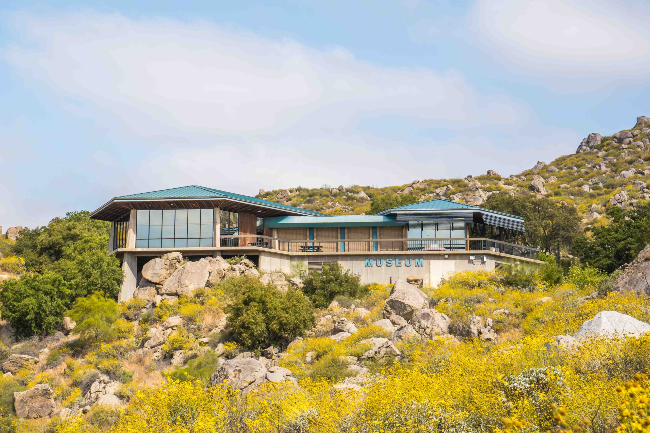 A modern building with large windows, labeled "Museum," is situated on a rocky hillside with yellow wildflowers and sparse greenery.