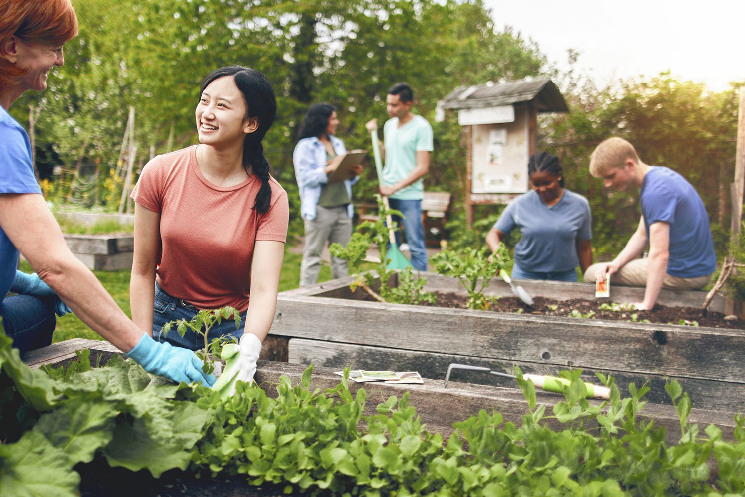 People are gardening together in a community garden. Some are planting, while others use tools, surrounded by greenery and raised garden beds.