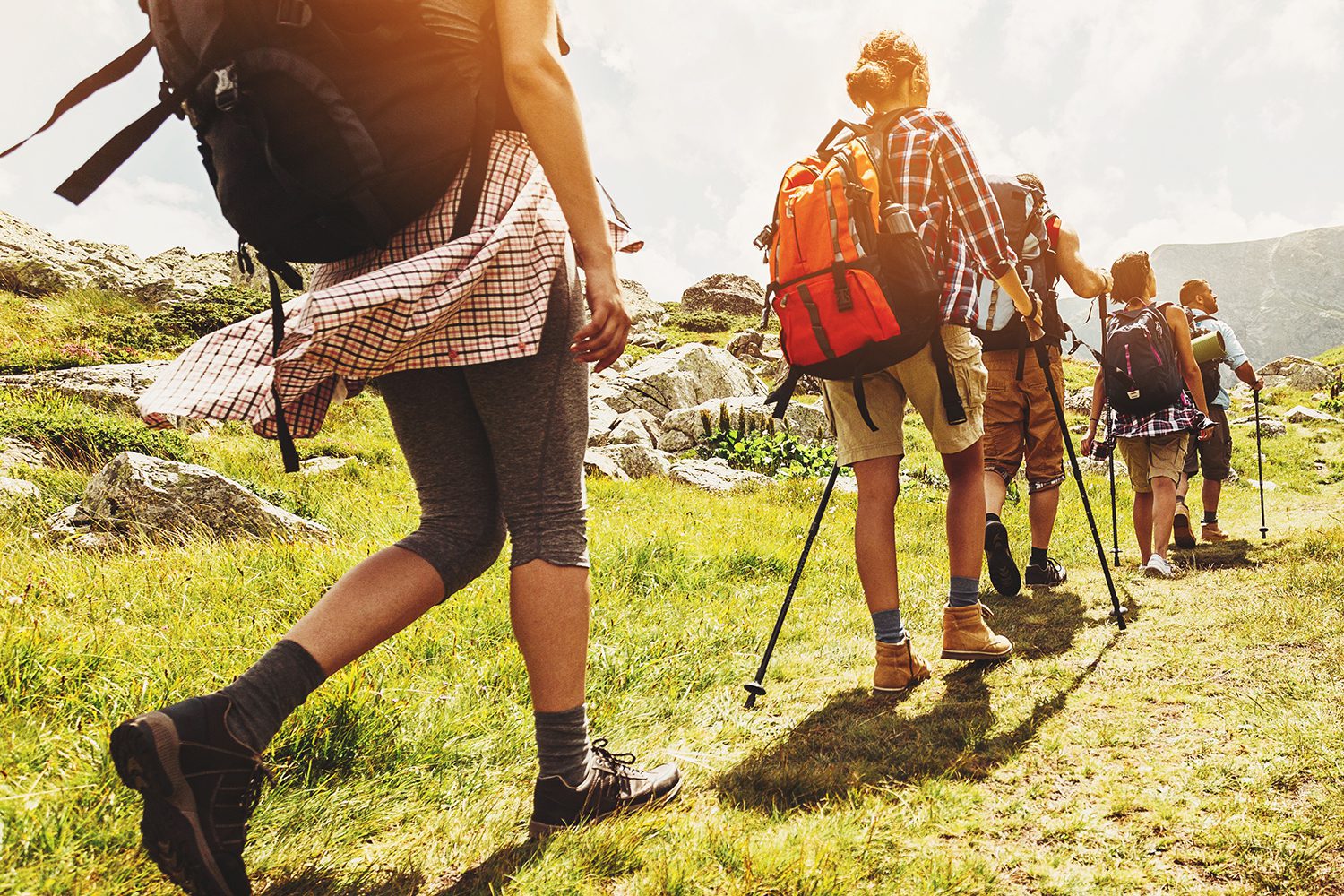 A group of hikers wearing backpacks and holding trekking poles walk in a line on a grassy trail in a mountainous area.